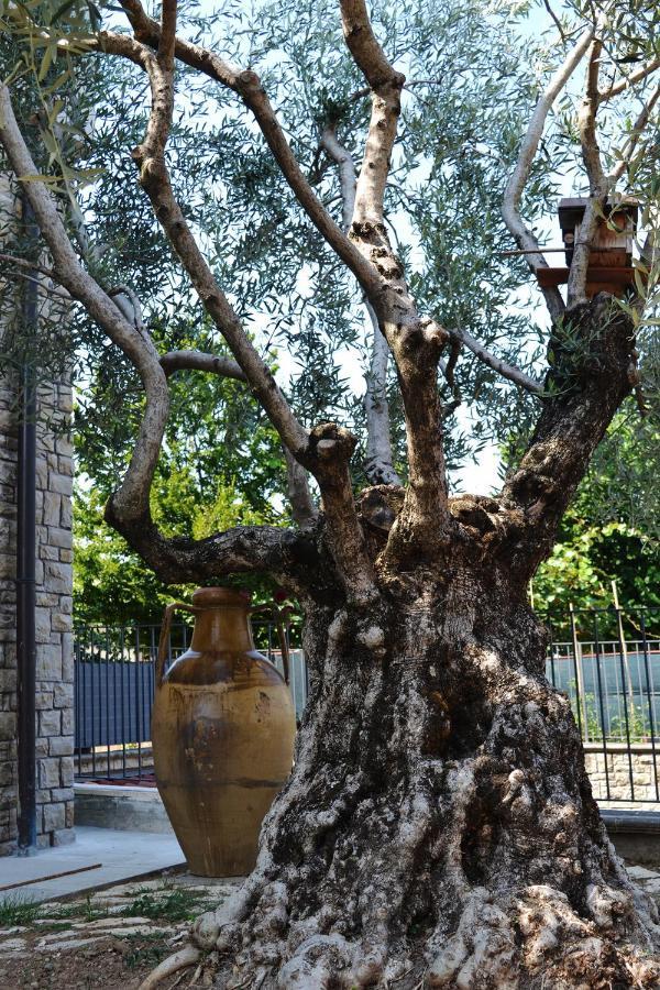 Riflessi D'Arte Bed and Breakfast Provaglio d'Iseo Εξωτερικό φωτογραφία