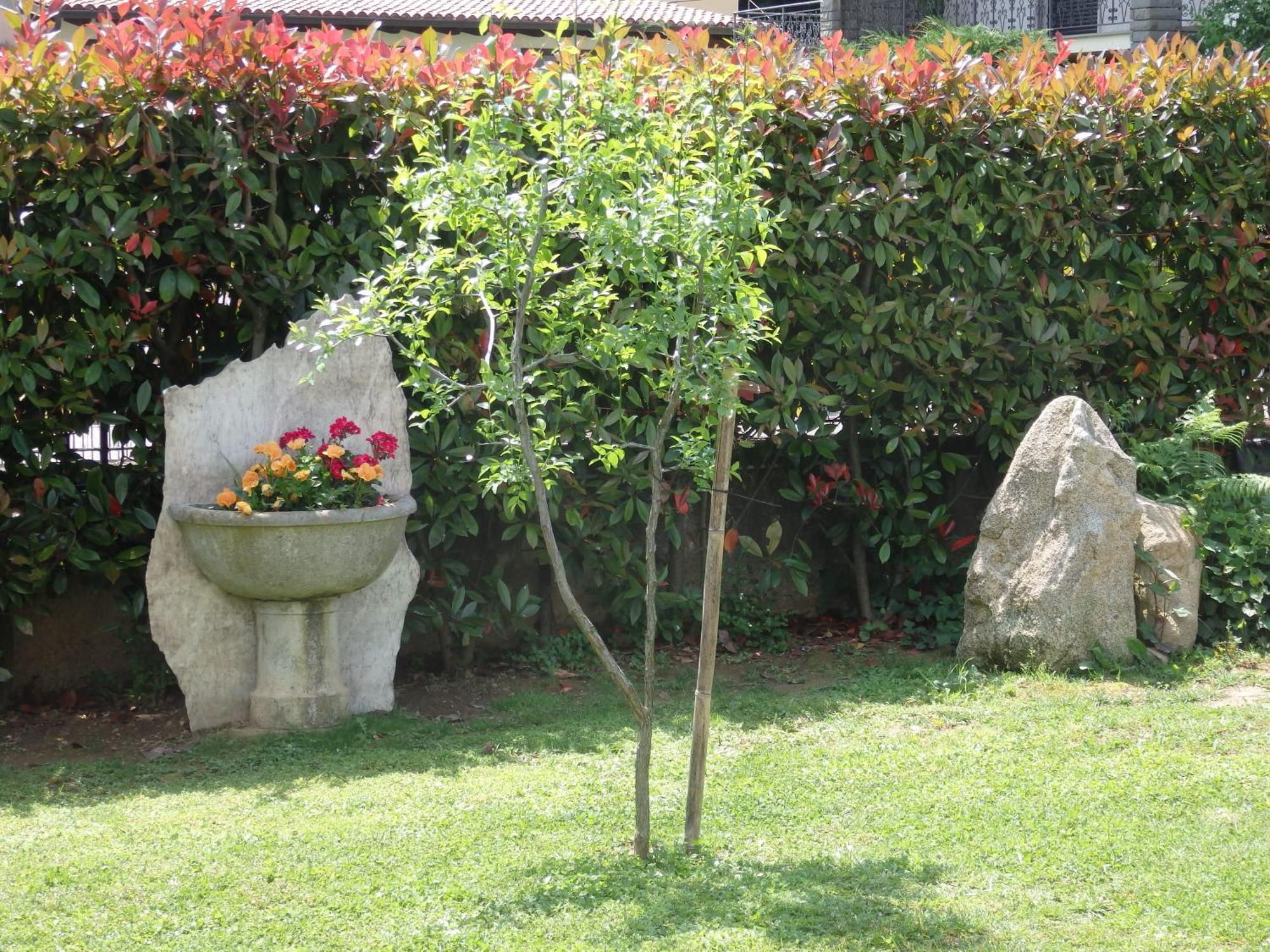 Riflessi D'Arte Bed and Breakfast Provaglio d'Iseo Εξωτερικό φωτογραφία